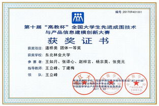 數字建模展鋒芒，土木學子勇奪全國成圖大賽團體桂冠